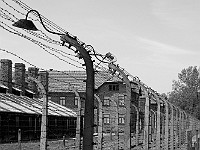 DSC 2965  Polonia - Auschwitz