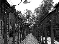 DSC 3003  Polonia - Auschwitz