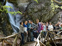 DSC 7795  1 maggio: gita al Parco Nazionale d'Abruzzo