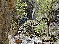 DSC 7818  1 maggio: gita al Parco Nazionale d'Abruzzo