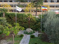DSC 0064  15 dicembre: nuovo look per il nostro giardino : bandiera, epicentro