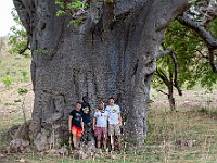 Benin2022 227 : africa, baobab, benin, cirocassone, claudiogjoni, manougou, maurocamillo, natura, ventesimoviaggio
