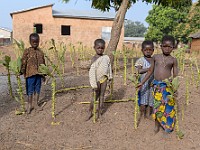 DSC 0472 : africa, benin, tora