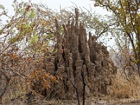 DSC 0735 : africa, benin, pendjarie, termitaio
