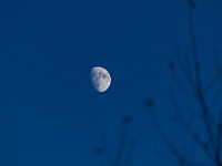 DSC 5638 : forestaumbra, luna