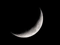 DSC 9816 : luna, notturne