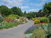 DSC 5265 : dublino, fiori, irlanda, natura