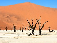 Namibia