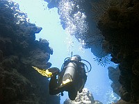 CRW 4051-1  Sharm el Sheikh - Jackfish Alley