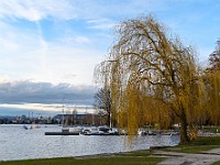 DSC 2509 : paesaggi, svizzera, zurigo