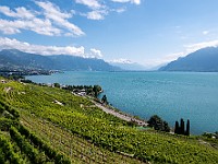 DSC 3599 : lavaux, paesaggi, svizzera