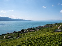 DSC 3601 : lavaux, paesaggi, svizzera
