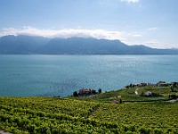 DSC 3603 : lavaux, paesaggi, svizzera
