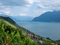 DSC 3629 : lavaux, paesaggi, svizzera