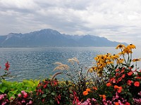 DSC 7256 : montreux, paesaggi, svizzera