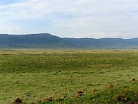 DSC 4662 : africa, animali, paesaggi, tanzania