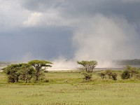 DSC 6477 : africa, animali, paesaggi, tanzania