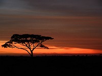 DSC 6729 : africa, albe, paesaggi, tanzania