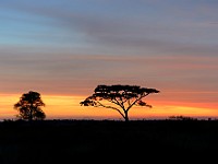 DSC 6736 : africa, albe, paesaggi, tanzania