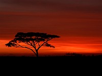 DSC 7177 (2) : africa, albe, paesaggi, tanzania
