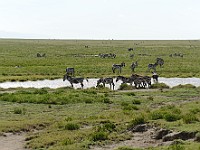 DSC 7321