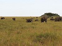 DSC 7412 (2)