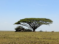 DSC 7445 (2)