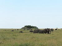 DSC 7643