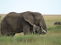 DSC 7648