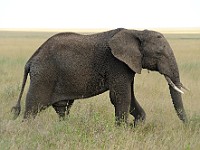 DSC 7668