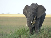 DSC 7722
