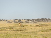 DSC 7869
