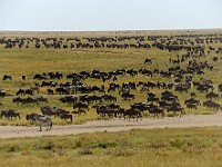 DSC 7888
