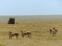 DSC 8093