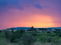 DSC 0417 : africa, paesaggi, tanzania, tramonti, ventiquattresimoviaggio