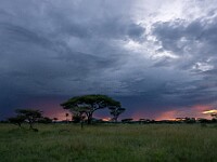 DSC 0418 : africa, paesaggi, tanzania, tramonti, ventiquattresimoviaggio