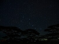 DSC 5096 : africa, ndutu, notturne, stelle, tanzania, ventiquattresimoviaggio