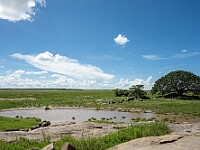 DSC 8578 : africa, animali, paesaggi, tanzania, ventiquattresimoviaggio