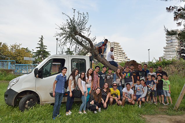 Un albero per Scampia, un olivo di nome Elia